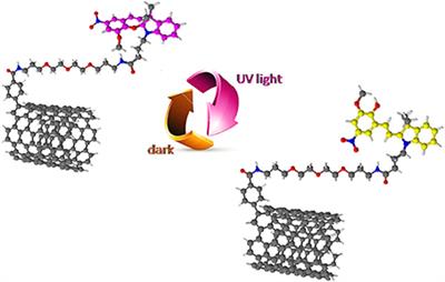 Photo-Responsive Graphene and Carbon Nanotubes to Control and Tackle Biological Systems